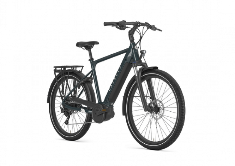 Gazelle Medeo T10 HMB E-Bike, Bosch Mittelmotor, Herren Elektrofahrrad 28 Zoll 55er Rahmen, 625er Akku